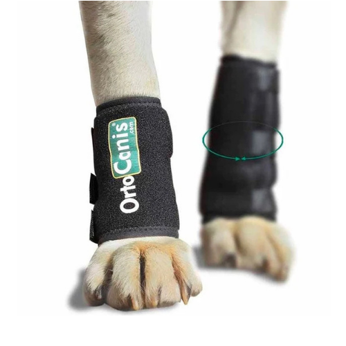 Suporte Elástico para Cães com Lesões nos Tendões ou Musculares