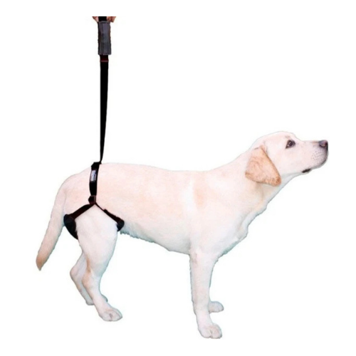 Arnês para Cães com Suporte nas Patas Traseiras - Tamanho Único
