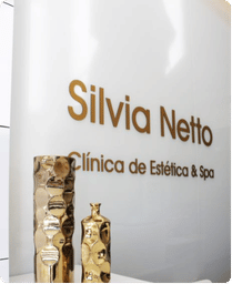 versão 1º NOVO SITE- SILVIA NETTO (Playfair display)hm1